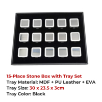 Boîte de rangement pour pierres précieuses en plastique à 15 compartiments avec plateau de présentation en cuir PU noir, organisateur de pierres pour emballage de bijoux, vente en gros