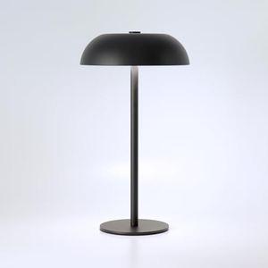 Lampe en métal acrylique sans fil rechargeable par USB, design moderne minimaliste, corps flexible en fer, pour la décoration de la maison/du bureau/de la chambre - Product Image 1