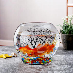 Bol à Poissons Rond en Verre Transparent de 10 Pouces en Gros - Product Image 3