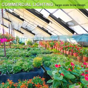 Barra crecimiento luz horticultura 110W 220W UL potencia alta eficacia luces LED cultivo de plantas para plántulas - Product Image 6