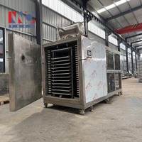 Lyophilisateur industriel à vide de grande capacité pour la production de fruits, légumes et viandes