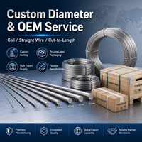 Fil de titane GR1 GR2 ASTM B863 pour soudage TIG MIG, usinage CNC, laboratoire industriel, découpe sur mesure, OEM