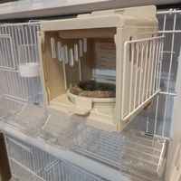 Boîte de reproduction pour oiseaux réutilisable en plastique avec coussin de nidification, maison de couvaison sécurisée pour perroquet, canari, pinson, toutes saisons