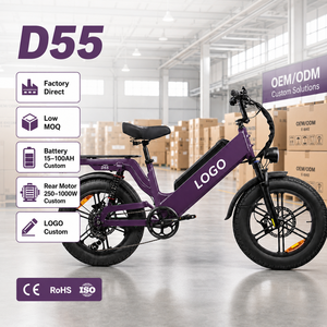 Bicicleta Eléctrica de Carga D55 con Llantas Gruesas de 20 Pulgadas, Motor de 750W, Personalizable, para Transporte Urbano y Trabajos de Reparto - Product Image 1