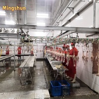 Machine d'abattage de poulets pour abattoir, capacité 5000 volailles par heure, prix