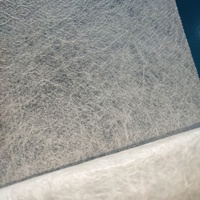 Tissu non tissé bicomposant en PET et PP résistant au vieillissement pour doublures de chaussures durables et respirantes, renfort B195WC