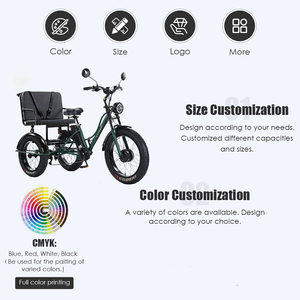 Tricycle électrique à 3 roues pas cher de 24 pouces 600W 750W avec siège passager arrière et double amortisseur Triciclo Electrico De Litio - Product Image 2