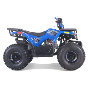 Quad Tao Motor 2026, nouveau, pas cher, pour la ferme, automatique, transmission par chaîne, pour enfants, 110cc - Product Image 4
