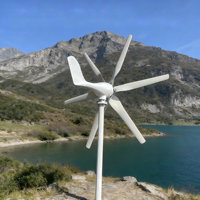 Éolienne horizontale domestique 1000W 2000W 3000W avec alternateur à aimant permanent 12V 24V pour maison