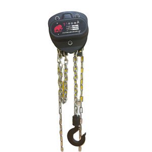 <span class=keywords><strong>1</strong></span> <span class=keywords><strong>Ton</strong></span> 1000kg tipe VD kerekan rantai Manual dioperasikan dengan tangan - Product Image 5