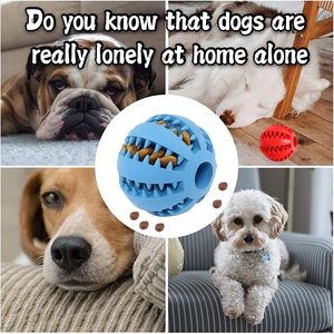 Juguete de Plástico para Mascotas, Diseño Moderno y Encantador, Pelota para Perros, Venta Caliente - Product Image 5