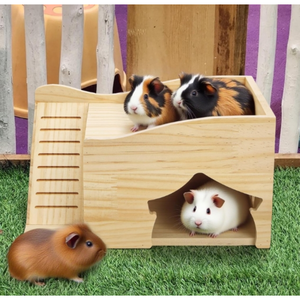 Maisonnette <span class=keywords><strong>en</strong></span> <span class=keywords><strong>bois</strong></span> avec escalier et fenêtre pour petits animaux – Habitat et abri - Product Image 5