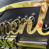 Enseignes lumineuses LED dorées personnalisées, signalétique 3D rétroéclairée, enseigne de devanture de magasin, lettres en relief en métal et acrylique avec logo