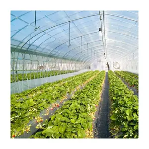 Tunnel Greenhouse Film Agriculture 200 Micron Uv Resistant Plastic Covering