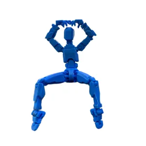 3D baskı hızlı prototipleme hizmeti Can özel FDM plastik 3D baskılı oyuncak çin 3D baskı Online