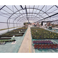 Serres commerciales Gutter Connect, serres personnalisées en Chine pour la plantation, serres agricoles