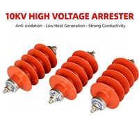 Parafoudre à oxyde de zinc haute tension 10KV HY5WS-17/50L avec dispositif de déconnexion