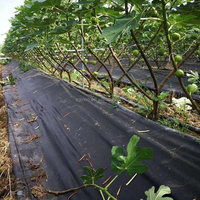 Rouleaux de tissu paysager non tissé en polypropylène (PP) respirant, imperméable et léger, pour couverture du sol et contrôle des adventices, échantillon gratuit
