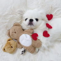 Jouet interactif pour chien en peluche mignon en forme d'ours, avec couineur, pour soulager l'anxiété des chiots, avec compartiment caché pour nourriture