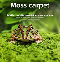 Tapis de terrarium réutilisable en ABS écologique pour reptiles, substrat de lit pour tortues, tapis pour cages d'animaux - Lézards barbus