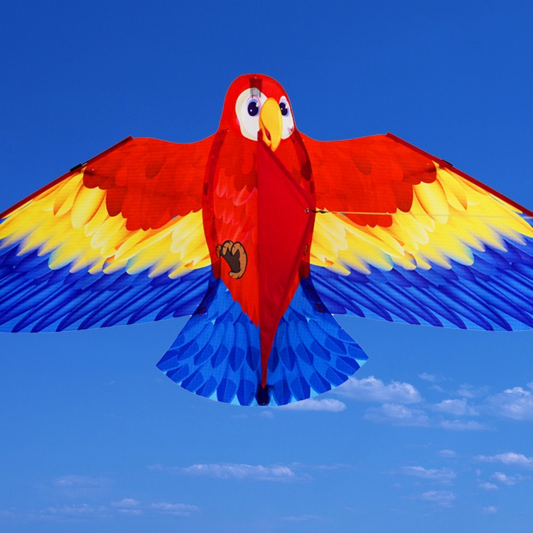 parrot kite