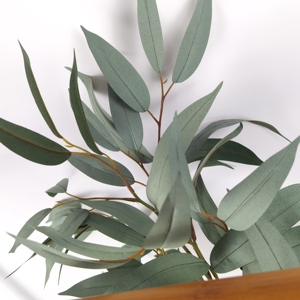 Hoja <span class=keywords><strong>de</strong></span> <span class=keywords><strong>Mango</strong></span> - Product Image 5