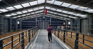 Abri pour bétail et moutons en acier sur mesure, grande capacité, robuste - Hangars pour animaux résistants aux intempéries, adaptés aux exploitations de ranch - Product Image 3