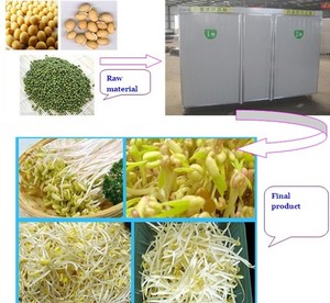 High Efficiency High Capacity Bean Sprout Growing Machine Sprout Maker Machine Made In China - Product Image 6
