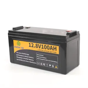 LiFePO4 बैटरी 12V100Ah गहरे चक्र बैटरी के साथ उन्नत 100A बीएमएस कॉम्पैक्ट लिथियम बैटरी 4000-15000 चक्र 10-साल जीवनकाल के लिए