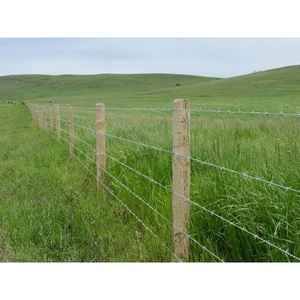 Hàng rào an ninh barbs lưới 2 sợi mạ kẽm dây thép gai cuộn <span class=keywords><strong>4</strong></span> điểm trang trại hàng rào an toàn hệ thống biên giới hỗ trợ concertina - Product Image 2