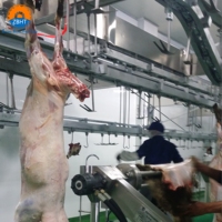 Matériel et accessoires complèts pour l'abattage des moutons et des chèvres, adaptés aux lignes de traitement de l'abattage des moutons et des chèvres