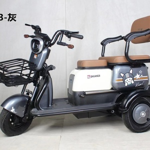 Nouveau Tricycle Électrique Puissant 2023 à Trois Roues pour Adultes, Vélo Cargo avec Outils Mobiles Inclus, Origine Chine - Product Image 4