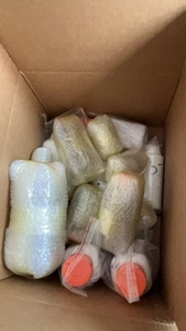 สารย้อมกระดูกอ่อนซาฟราไนน์โอ  น้ำยาสีสำหรับย้อมเนื้อเยื่อความบริสุทธิ์สูง สำหรับใช้ในห้องปฏิบัติการ - Product Image 3