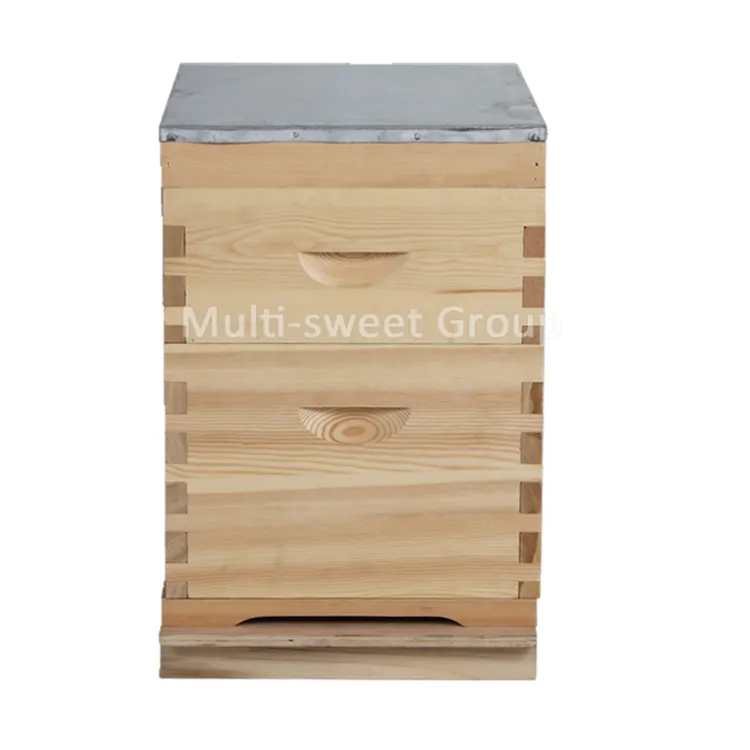 베스트 셀러 2 레이어 10 프레임 나무 꿀벌 두드러기 판매