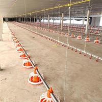 Équipement d'élevage avicole, équipement d'élevage de poulets, mangeoire automatique en plastique portable pour poulets