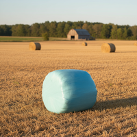 Film d'emballage pour balles de silage LONGXING LXBW-01 en LDPE, 750 mm, 25 microns, qualité machine, soufflage doux, pour légumes