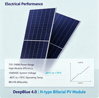 Silicio Monocristalino de Alta Eficiencia para Celdas Solares Tipo N de 500W-700W con Tecnología Fotovoltaica de Doble Vidrio