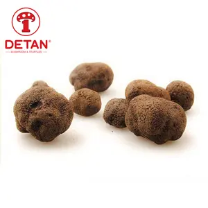 Detan 2020新季供应质地极佳的新鲜野生黑松露蘑菇，不同尺寸出售