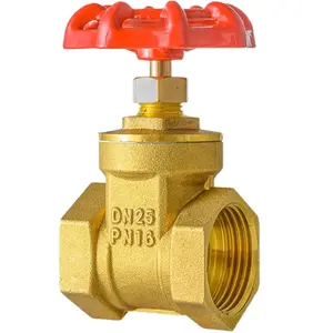 High Quality Cast Iron Handle Gate Valve BSP Thread Forged Brass Gate Valve For Water Meter