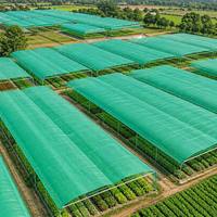 Zwaarwegend 100% virgin HDPE schaduwnet zwart groene kleur gebreid zonwerend net voor landbouwkasafdekking