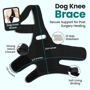 Adjustable Dog Knee <b>Brace</b> Protecter Hip <b>Brace</b> Support for Torn ACL with Side Stabilizers Neoprene Dog Hind Leg <b>Back</b> Leg Support - Product Image 6