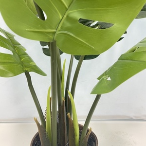 Plante artificielle d'intérieur/extérieur Live <span class=keywords><strong>Monstera</strong></span> de haute qualité Faux arbre en plastique Design pour la décoration de la maison et du bureau - Product Image 4