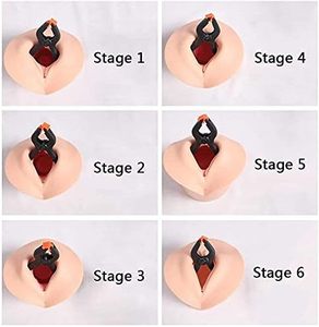 शिक्षण मॉडल गर्भाशय संरचनात्मक मॉडल शरीर रचना विज्ञान जन्म के पूर्व ग्रीवा परिवर्तन और जन्म संबंध मानव शरीर रचना विज्ञान मॉडल - Product Image 2