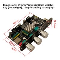 Module amplificateur mono 100W 1001U en mode boost avec commandes de basses et aigus TWS pour enceintes DIY extérieures TPA3116
