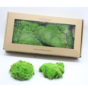 Moss Pole For Preserved Moss Pole 100% Real Moss Preservation Pole Moss Hot Selling For Decoration