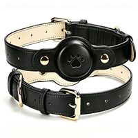 Collier LED pour chien, collier de sécurité rechargeable pour animaux de compagnie, collier lumineux pour chien, collier qui brille dans le noir, colliers lumineux