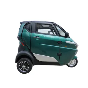 EEC Approved Passenger Tricycles Motorized e Rickshaw Lasternrad Tricycles for Adults