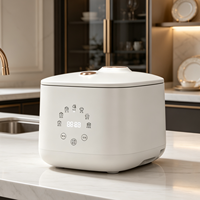 Autocuiseur Électrique Tactile Multifonctionnel avec Cuve Antiadhésive pour Cuisson à Faible Teneur en Sucre – Vente en Gros