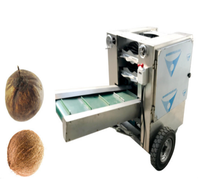 Machine commerciale d'épluchage de noix de coco coquille de noix de coco enlevant la machine d'éplucheur de peau brune de noix de coco à vendre