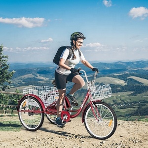 LEWEE Nouveau Design Bonne Qualité Marque OEM Gros Pneu <span class=keywords><strong>Vélo</strong></span> <span class=keywords><strong>3</strong></span> <span class=keywords><strong>Roues</strong></span> Tricycle Personnalisé <span class=keywords><strong>Vélo</strong></span>/<span class=keywords><strong>Vélo</strong></span> Pour <span class=keywords><strong>Adulte</strong></span> - Product Image 5